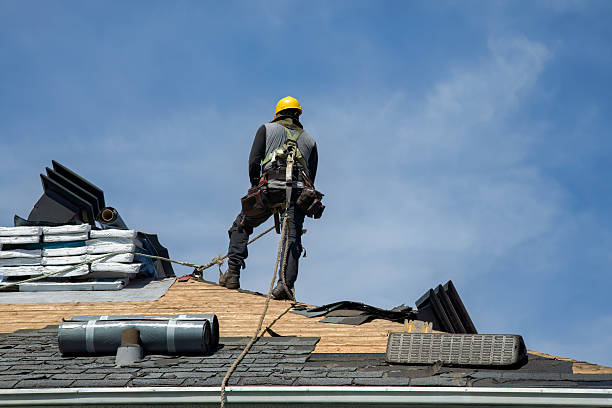 Professional Storm Damage Roof Repair technician working in Dubois, ID